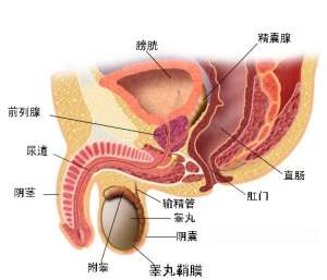 治疗阳痿比较好的医院